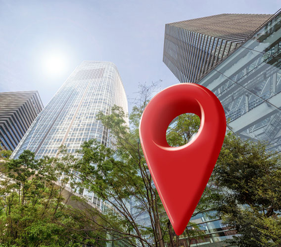 Grow Locally, Shine Digitally